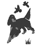 Gordon Setter Club of America, Inc.