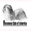 Havanese Club of America