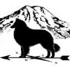 Belgian Sheepdog Club of America