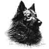 American Belgian Tervuren Club, Inc.