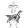 Irish Setter Club of Seattle