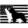 Briard Club of America