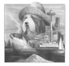 Northwest Bearded Collie Club of Puget Sound